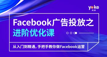 Facebook 在跨境電商中的應(yīng)用實(shí)戰(zhàn) 從引流到轉(zhuǎn)化的全平臺(tái)運(yùn)營策略